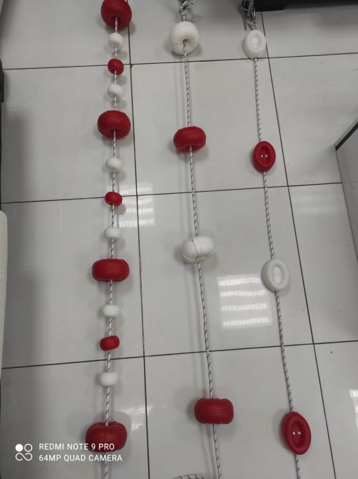 cankurtaran ipi plaj deniz samandırasi